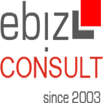 ebiz-consult GmbH & Co. KG logo