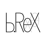 b.ReX GmbH logo