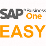 SAP Business One EASY - Haak GmbH - Software für Unternehmer