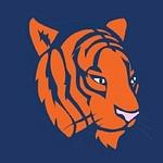 Digital Tigers logo