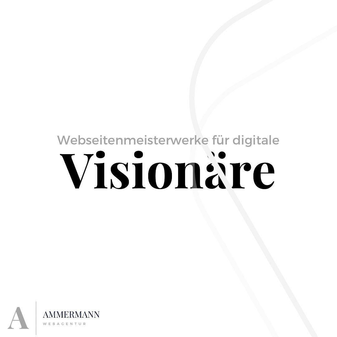 AMMERMANN - Webagentur cover