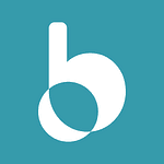 bNear Solutions logo