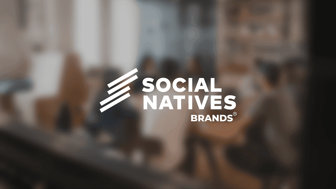 Social Natives Brands cover