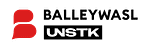 BALLEYWASL | UNSTK logo