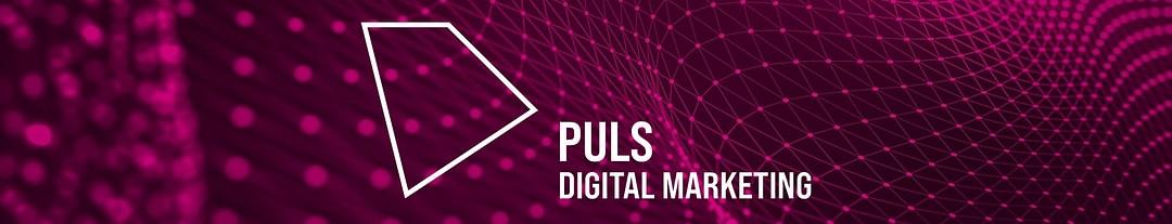 puls digital marketing GmbH cover