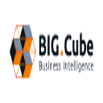 BIG.Cube GmbH Business Intelligence