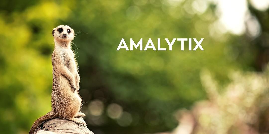 AMALYTIX GmbH cover