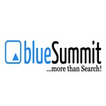 Blue Summit Media logo