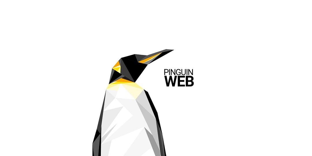 Pinguinweb GmbH cover