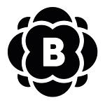 BRUSSO BAUM GbR. logo