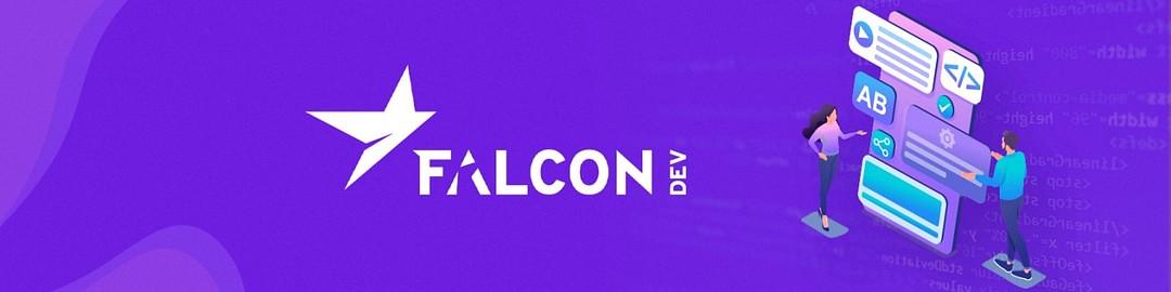 falconDev IT GmbH cover