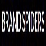 Brand Spiders logo