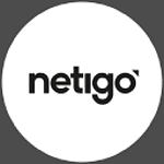 Netigo GmbH logo