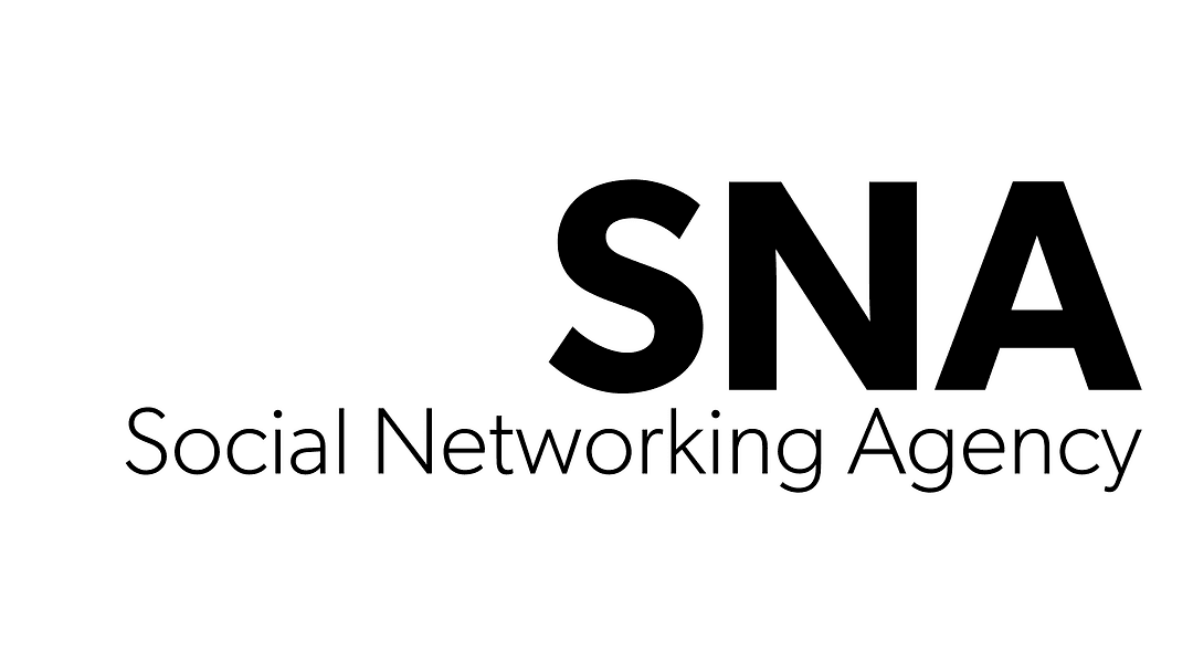 Social Networking Agency cover
