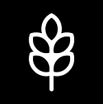 Digital Seed logo