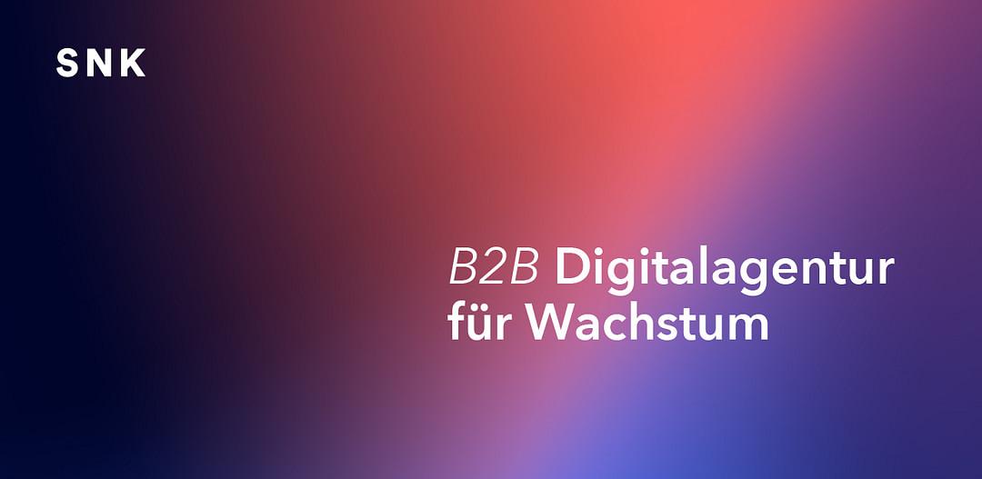B2B Experts - schoene neue kinder GmbH cover
